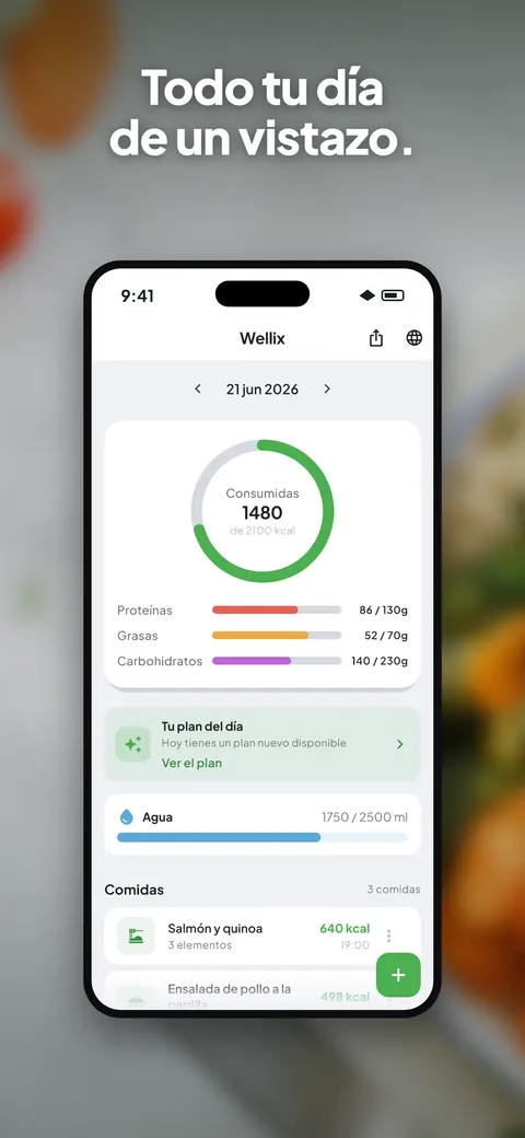 La app Wellix analizando la foto de una ensalada en un iPhone — 4/10