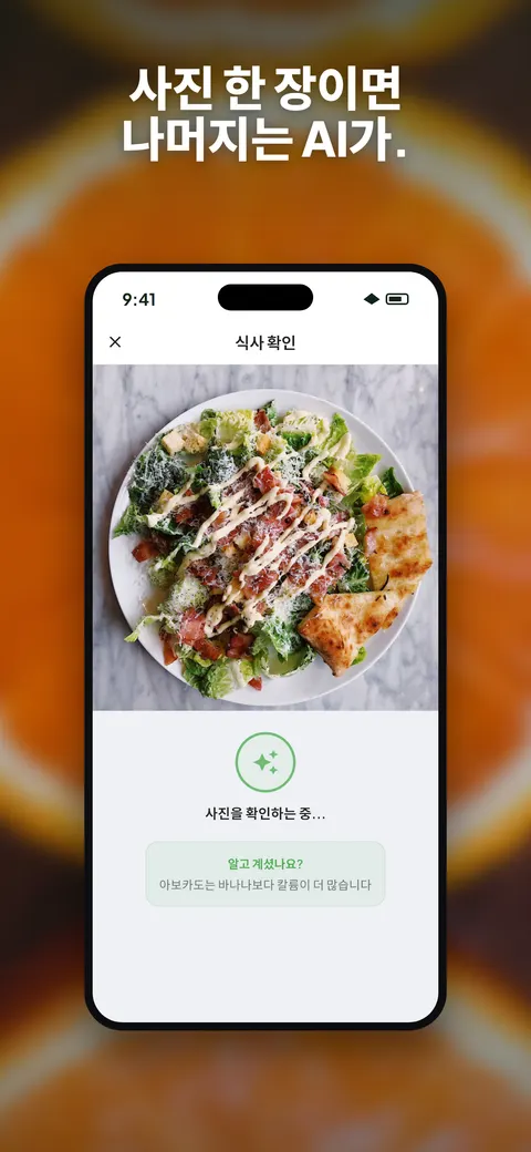 iPhone에서 샐러드 사진을 분석하는 Wellix 앱 — 1/10