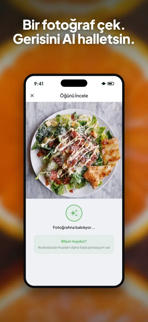 iPhone'da salata fotoğrafını analiz eden Wellix uygulaması — 1/10