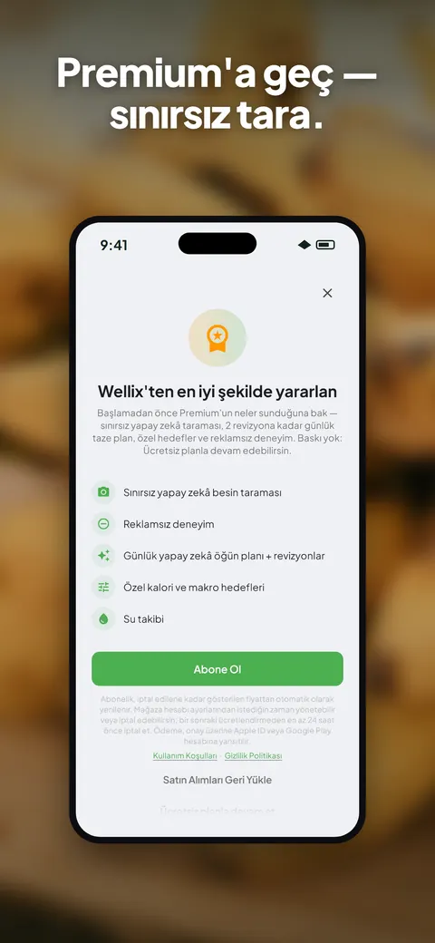 iPhone'da salata fotoğrafını analiz eden Wellix uygulaması — 10/10
