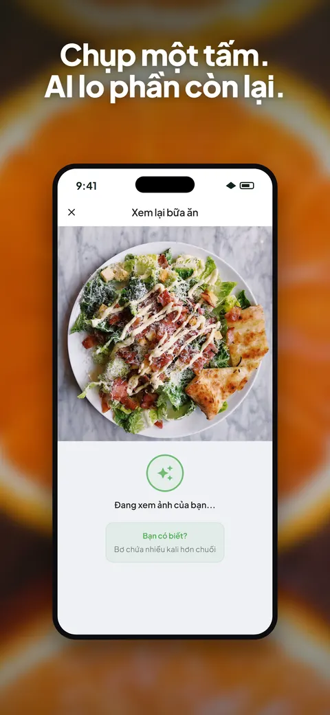 Ứng dụng Wellix phân tích ảnh đĩa salad trên iPhone — 1/10