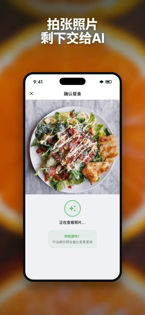 Wellix 应用在 iPhone 上分析沙拉照片 — 1/10