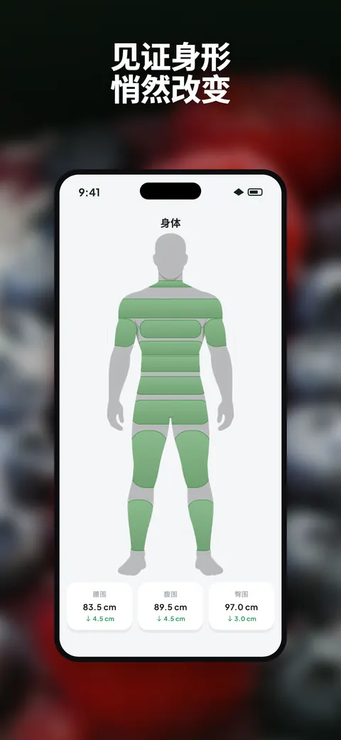 Wellix 应用在 iPhone 上分析沙拉照片 — 8/10