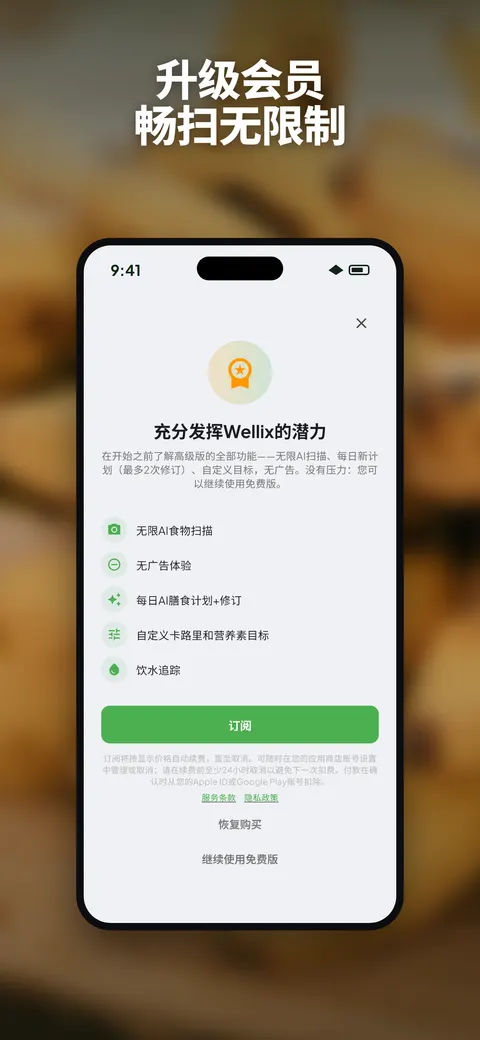 Wellix 应用在 iPhone 上分析沙拉照片 — 10/10